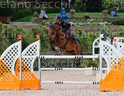 CHIMIRRI V GINGER ItaAss2013- S5 1434 : CHIMIRRI VINCENZO, Campionati Italiani 2013, Cattolica, GINGER, Horse Riviera Resort, foto di Stefano Secchi ©